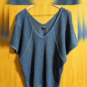 Express XS Blue V-Neck Sweater